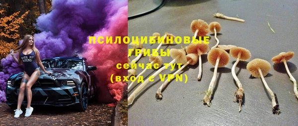 мяу мяу мука Аркадак