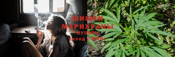 бутират Баксан