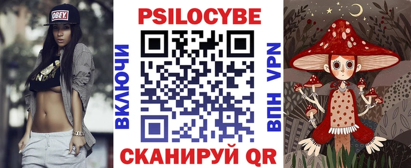 Галлюциногенные грибы Psilocybe Верея