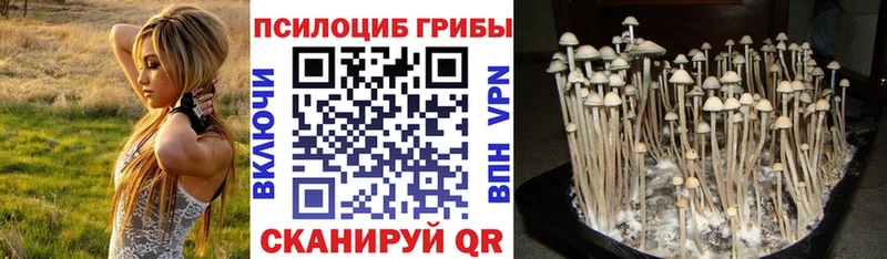 Псилоцибиновые грибы мицелий  купить наркотик  Верея 